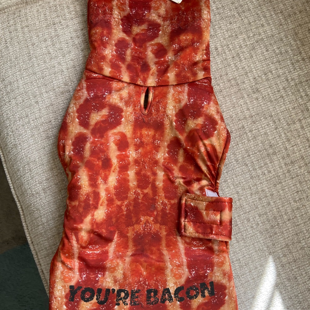 Dog Bacon Costume